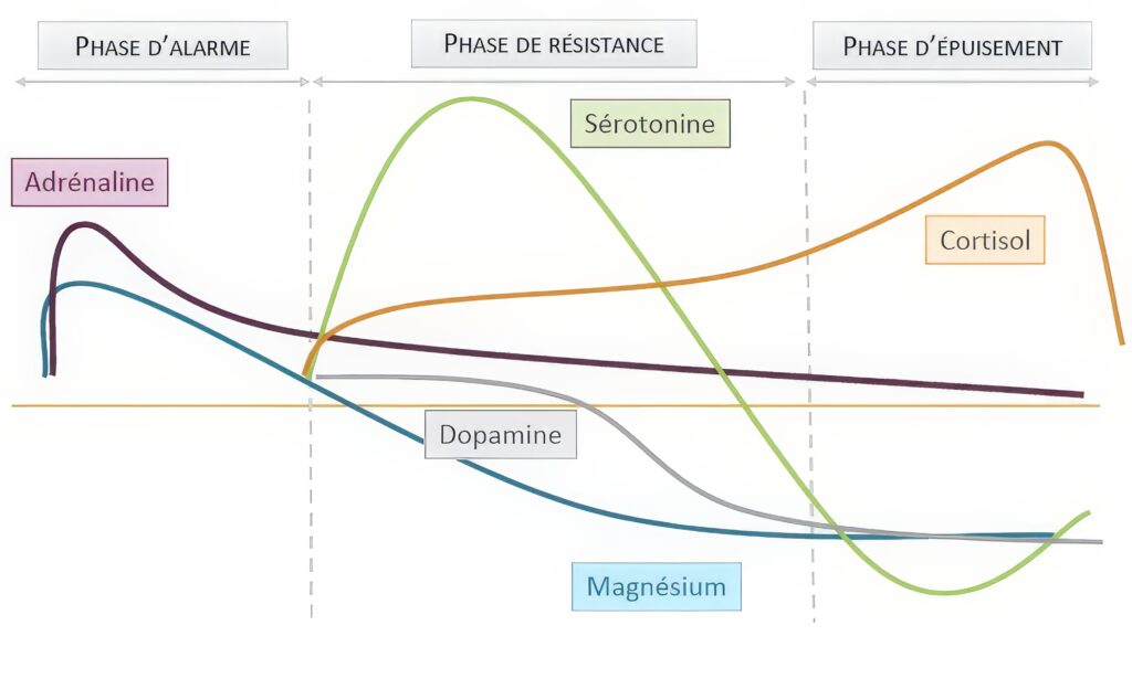 stress , anxiété