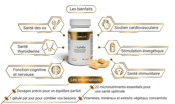 Vitamix Bienfaits