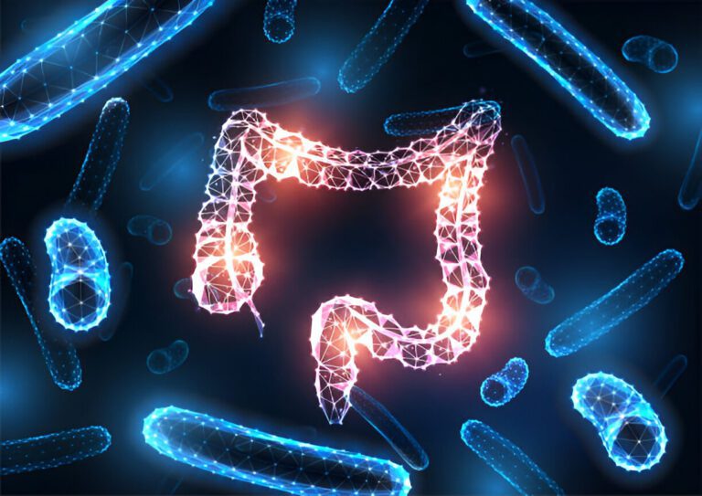 Le Microbiote Intestinal et l’Inflammation : Comprendre le Rôle de la Dysbiose