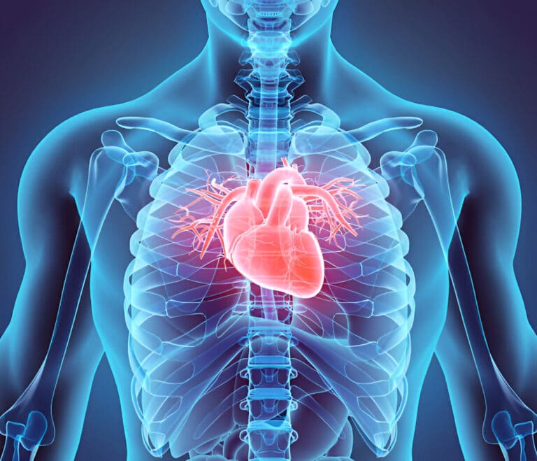 Homocysteine, methylation deficits and pathologies