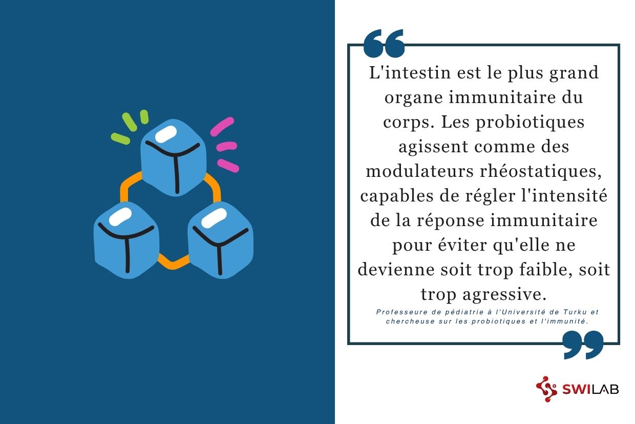 Comment le probiotique aide t il à moduler la réponse immunitaire H2