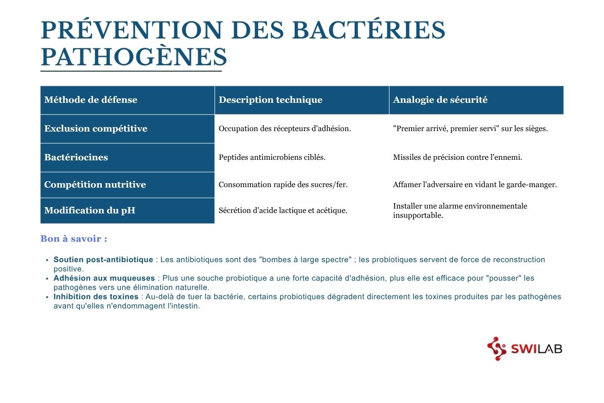 Comment le probiotique empêche t il la prolifération des bactéries pathogènes H2