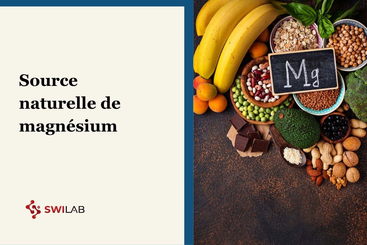 Quels sont les aliments les plus riches en magnésium à intégrer à votre alimentation ?