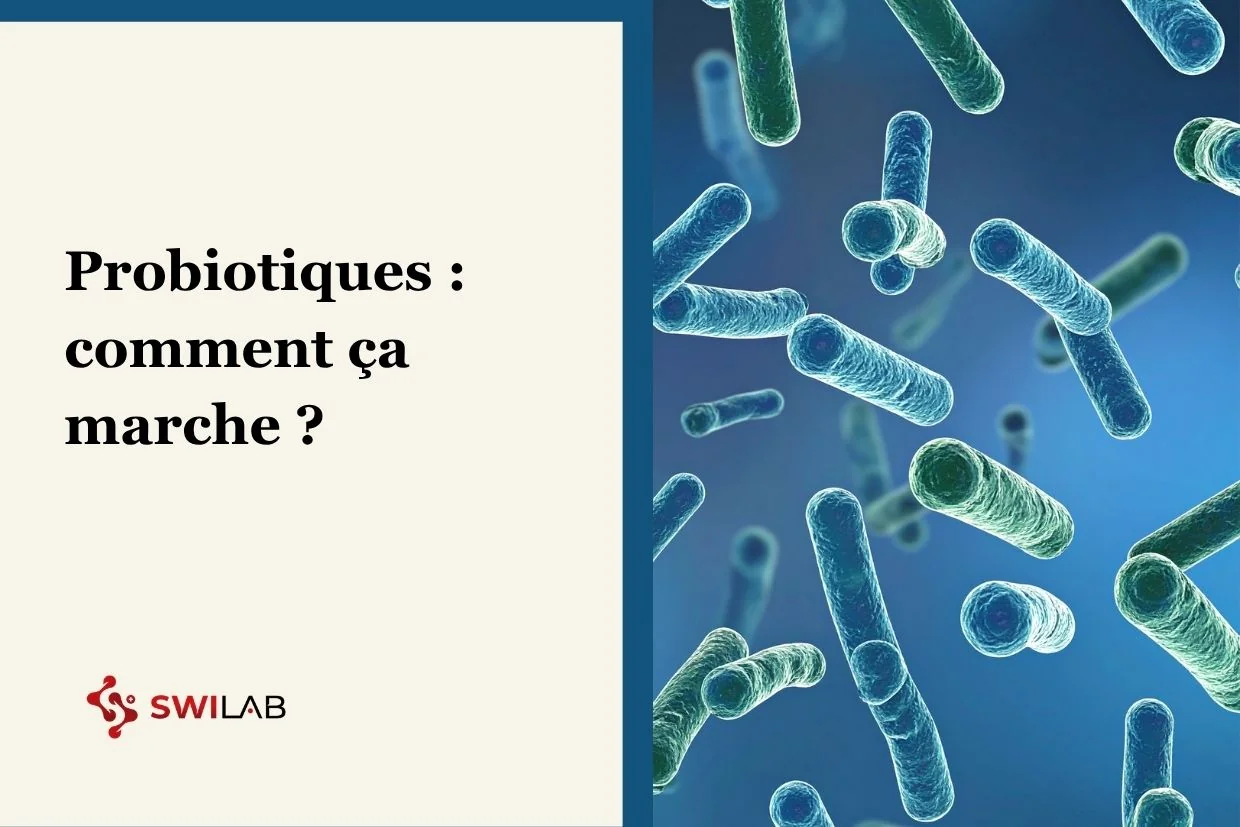 How probiotics work